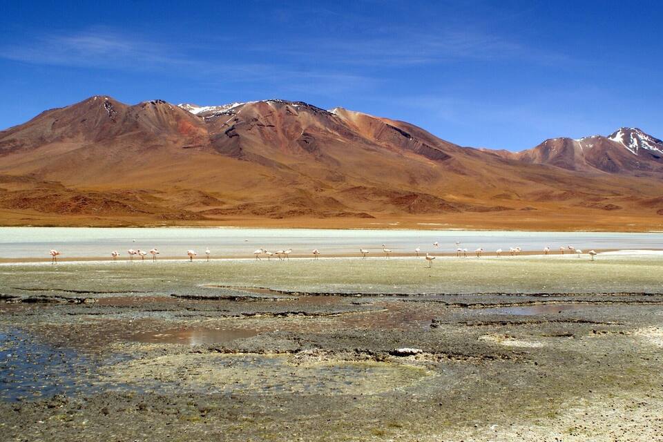 Una distesa salina con fenicotteri e montagne sullo sfondo.