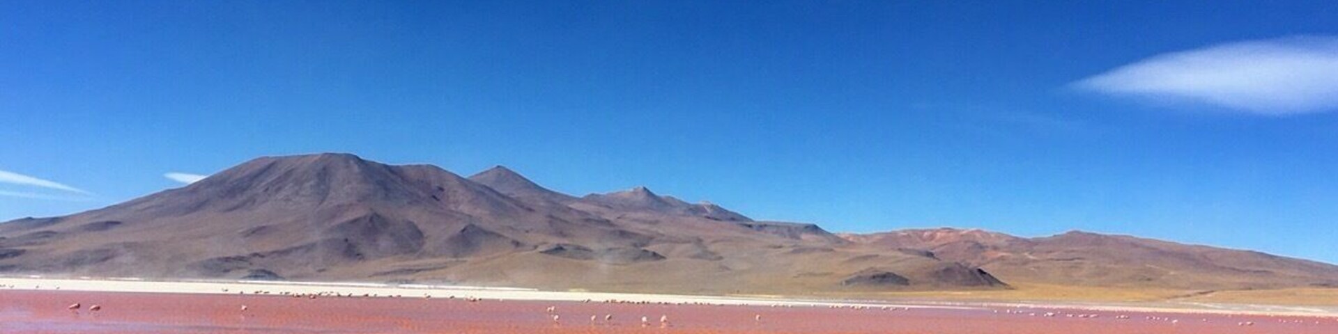 Laguna Colorada ( #Red Lagoon in English ) is a shallow salt lake in the southwest of the altiplano of Bolivia, close to the border with Chile. The lake contains borax islands, whose white color contrasts with the reddish color of its waters, which is caused by #red sediments and pigmentation of some algae!
