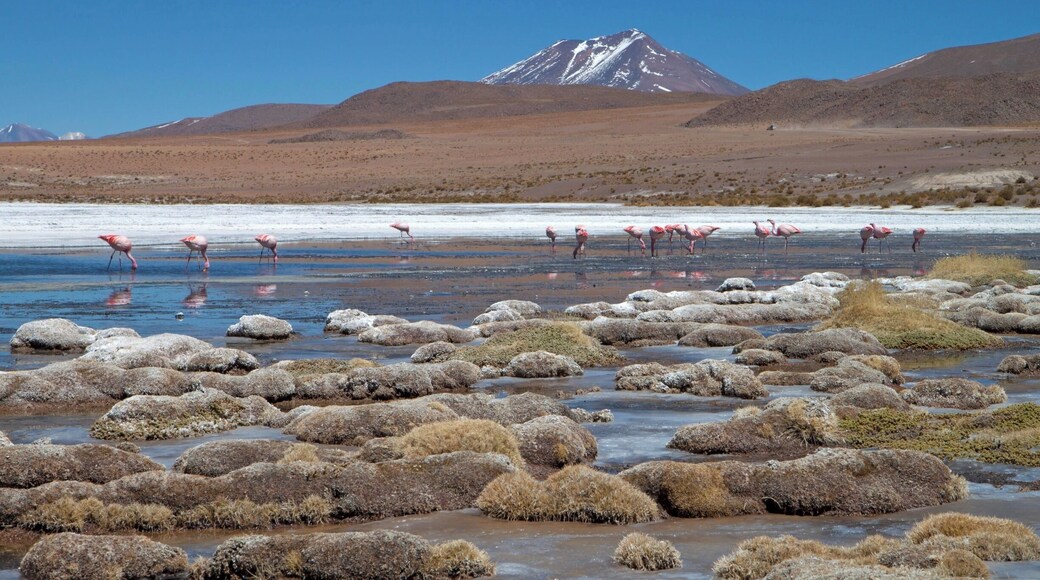Province de Sud LĂpez