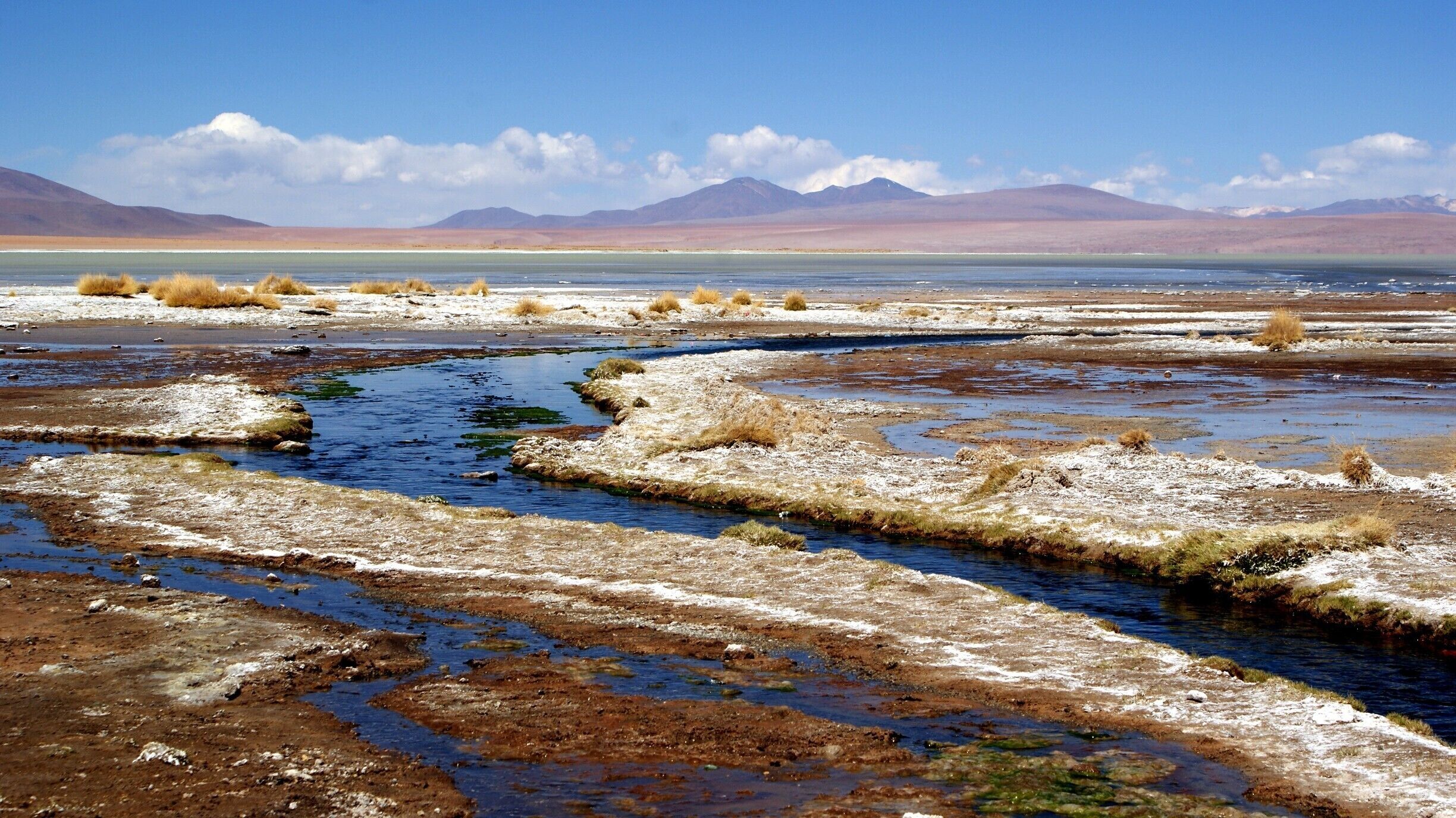 Stopping for a swim in the nature hot springs at Salar de Chalviri while on the Bolivia Salt Flats tour from San Pedro de Atacama, Chile to Uyuni, Bolivia.
