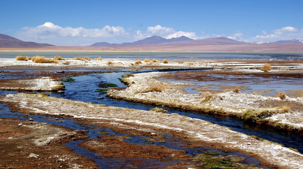Stopping for a swim in the nature hot springs at Salar de Chalviri while on the Bolivia Salt Flats tour from San Pedro de Atacama, Chile to Uyuni, Bolivia.
