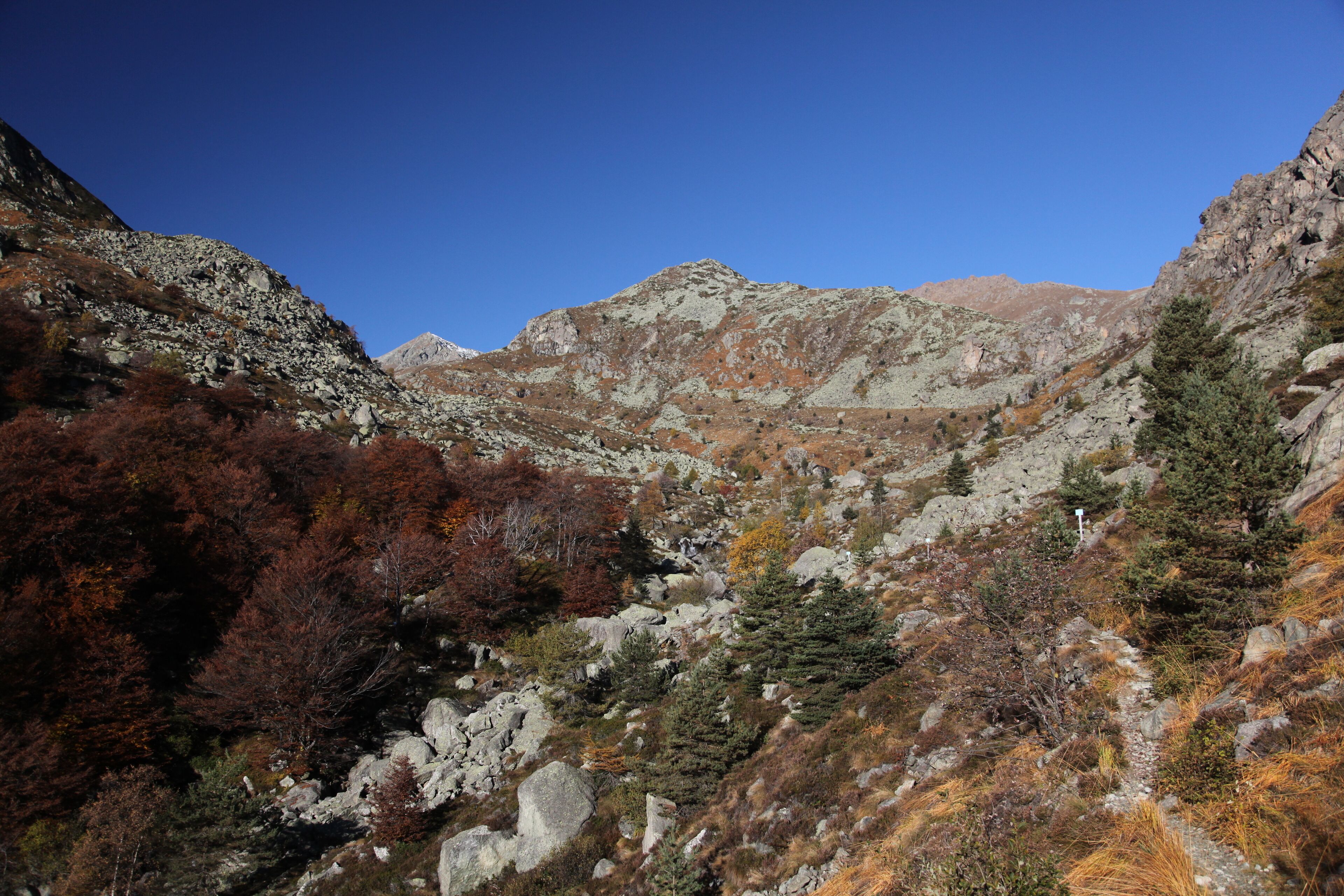 parco naturale Orsiera-Rocciavrè (Q2052054)