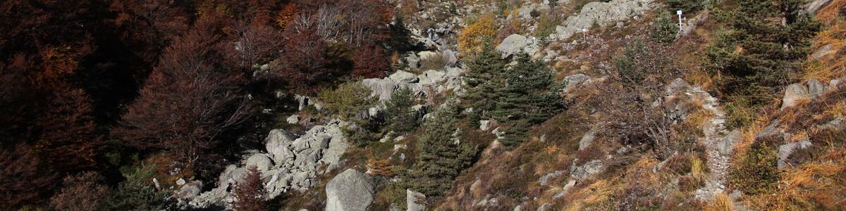 parco naturale Orsiera-Rocciavrè (Q2052054)