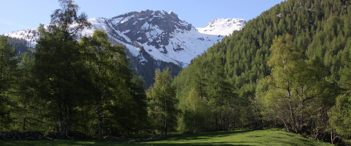 parco naturale Orsiera-Rocciavrè (Q2052054)