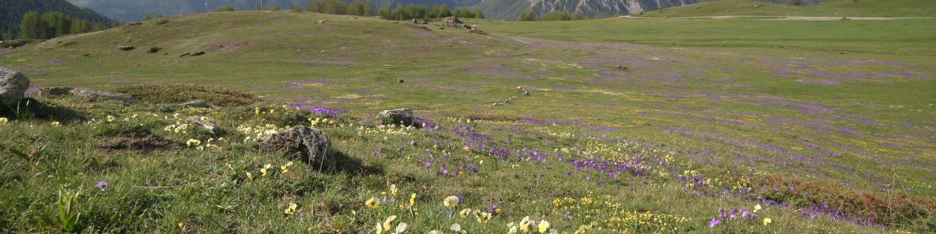 parco naturale Orsiera-Rocciavrè (Q2052054)