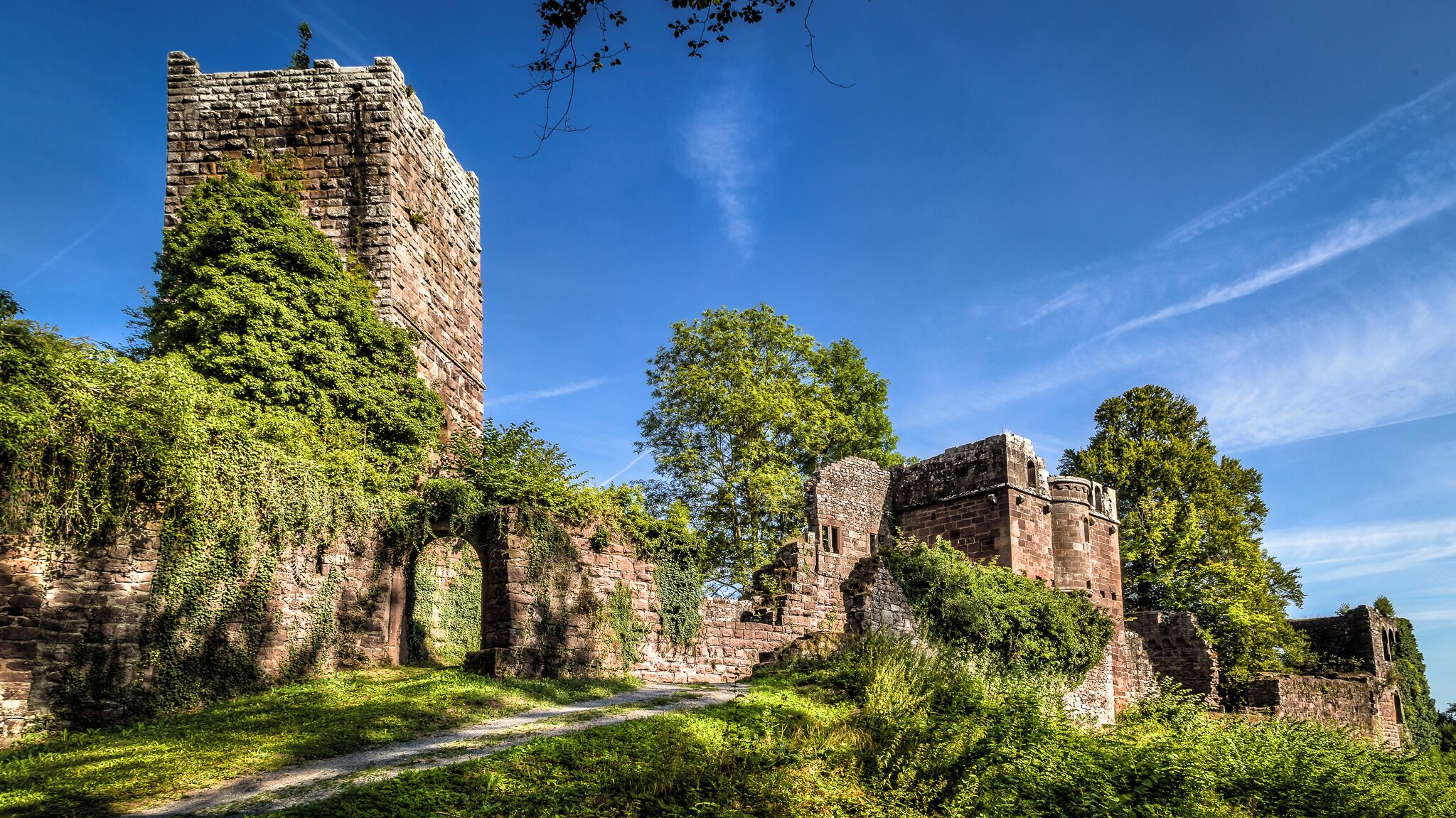 A historic stone castle surrounded by lush greenery and a clear blue sky.