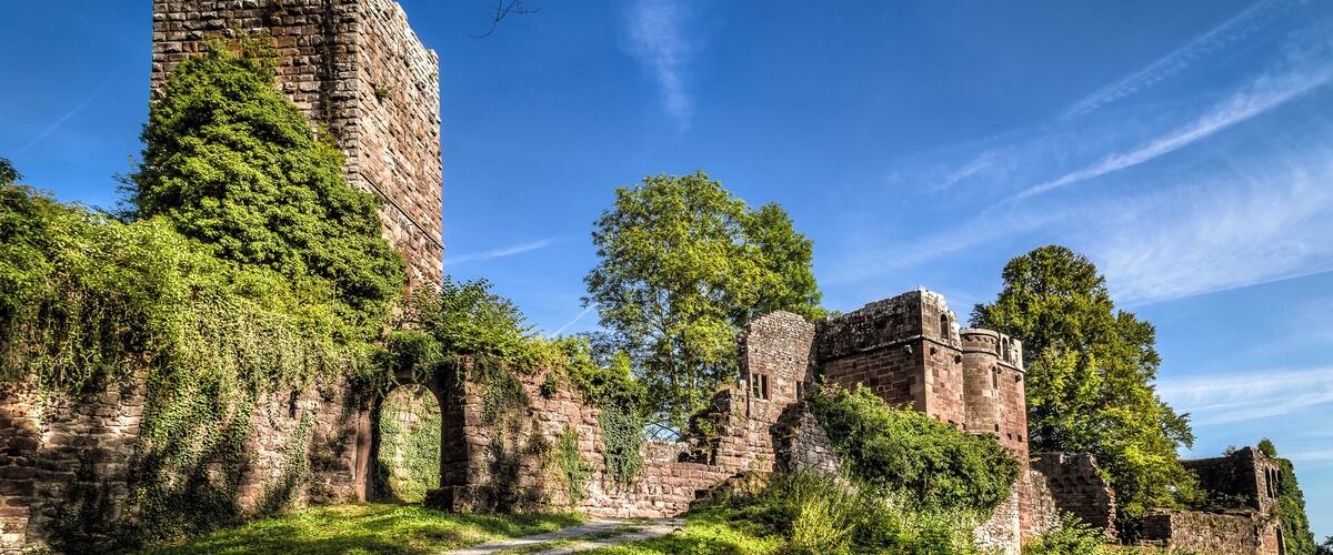 A historic stone castle surrounded by lush greenery and a clear blue sky.