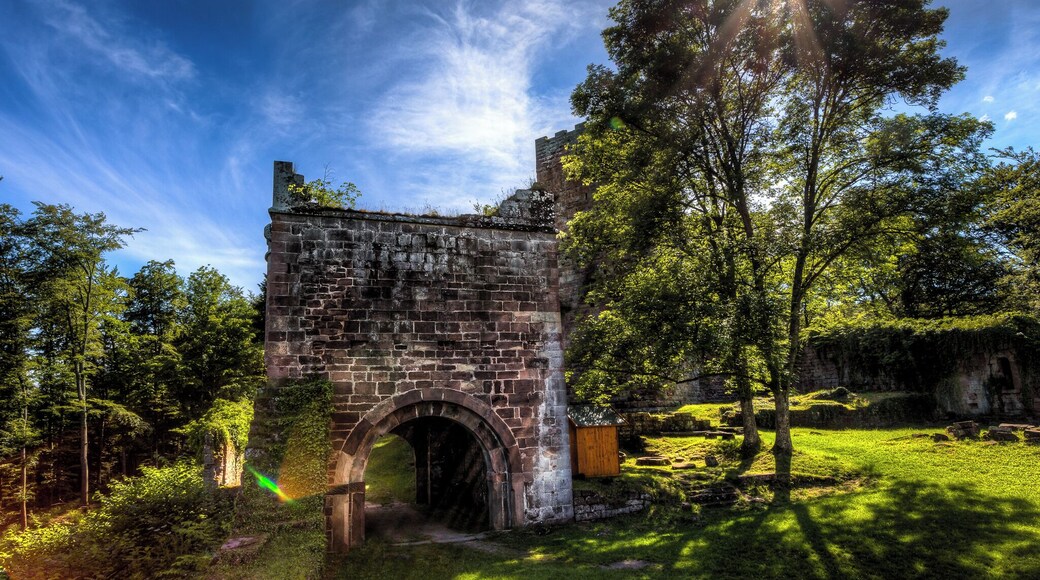 Burg Wildenberg - Torturm