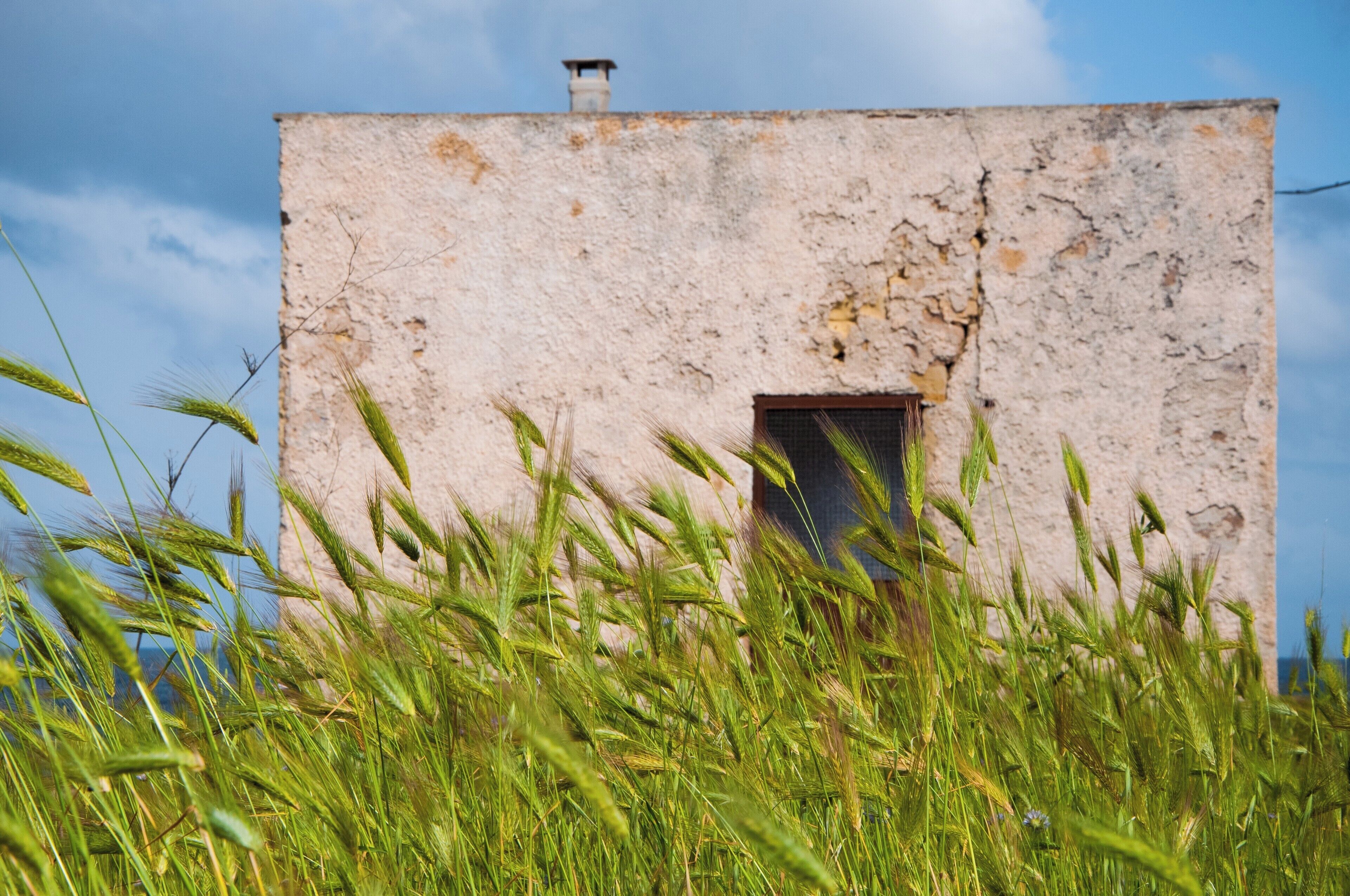 Porto Badisco is a seaside resort located in the municipality of Otranto, in the province of Lecce. A tourist destination of notable historical-landscape interest, it overlooks the Adriatic Sea and is less than 8 km from Otranto, 37 km from Lecce, 8 km from Santa Cesarea Terme and 15 km from Castro. The locality is renowned above all for the culinary tradition of sea urchins.