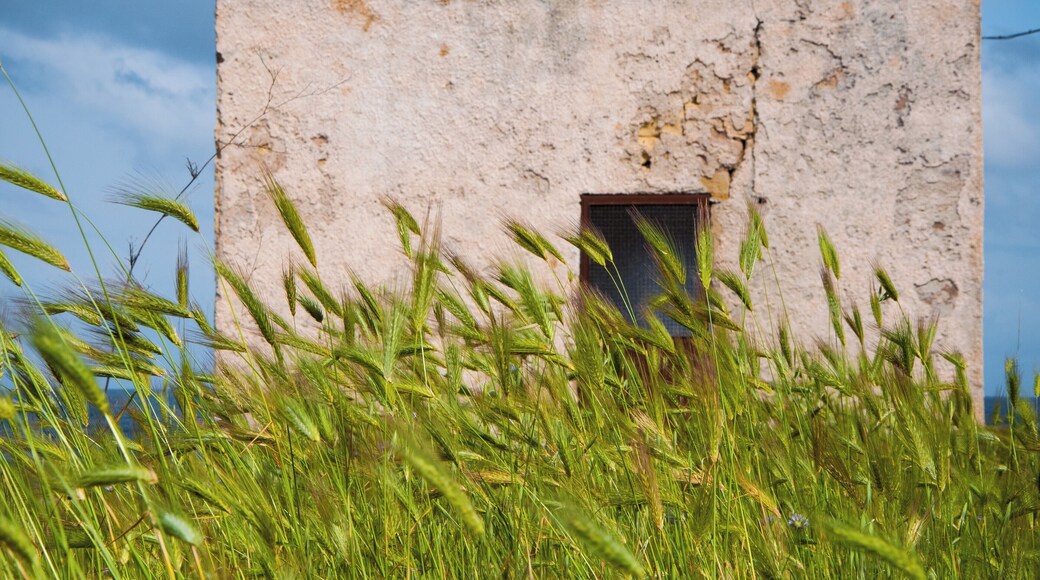 Porto Badisco is a seaside resort located in the municipality of Otranto, in the province of Lecce. A tourist destination of notable historical-landscape interest, it overlooks the Adriatic Sea and is less than 8 km from Otranto, 37 km from Lecce, 8 km from Santa Cesarea Terme and 15 km from Castro. The locality is renowned above all for the culinary tradition of sea urchins.