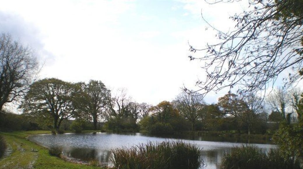 Pool at Pont-y-Gafel farm Viewed from the northeast
