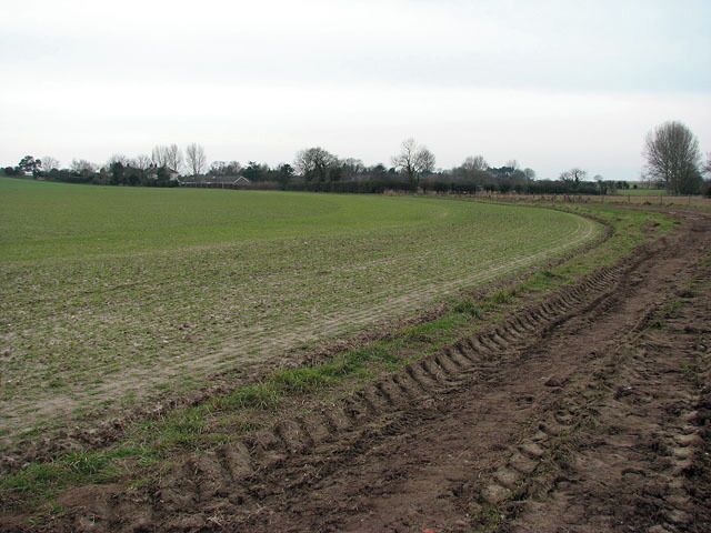 View along the track The view was taken in southerly direction. The houses seen in the background are located on Damgate Back Lane.