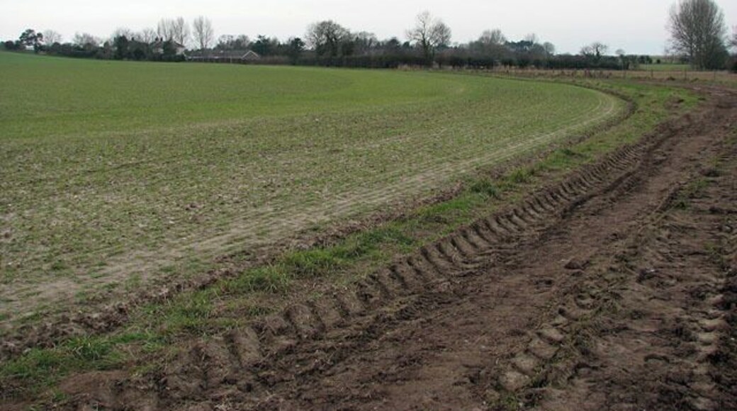 View along the track The view was taken in southerly direction. The houses seen in the background are located on Damgate Back Lane.