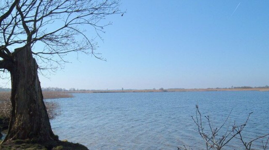 Martham Broad - a nature reserve Looking north-east from a sandy beach on the Southern edge of the broad.