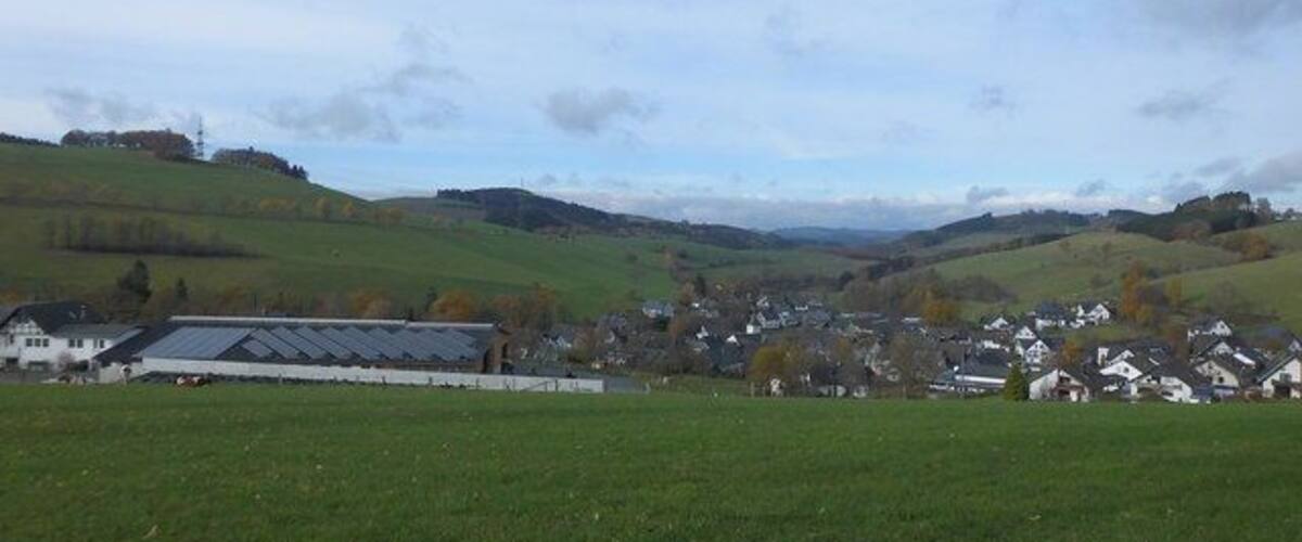 A rural landscape with green fields, a large barn, and a small village with houses.