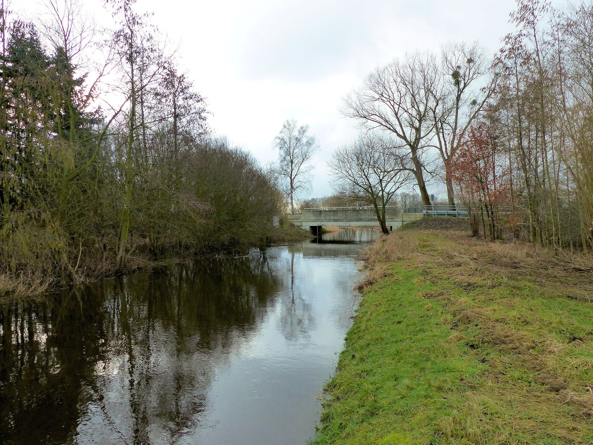 A calm river with a bridge in the distance, surrounded by trees and grassy banks.