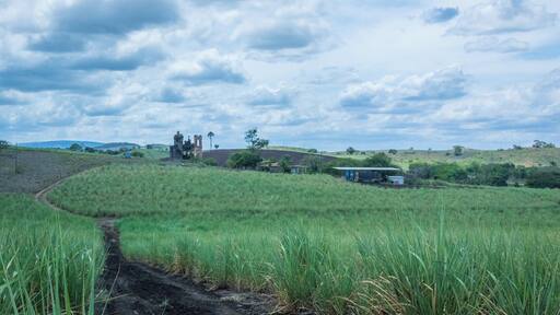 Sugar cane fields in Nossa Senhora do Socorro near SE-235. I'm not sure which church is to the center left but there was no time to explore. #BVStrove