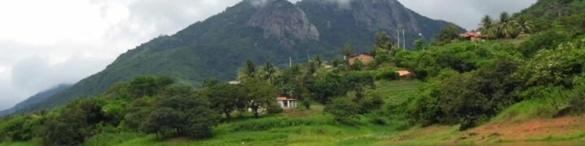 Such a cute little town with so much natural beauty- so green! And delucious acai...