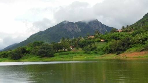 Such a cute little town with so much natural beauty- so green! And delucious acai...