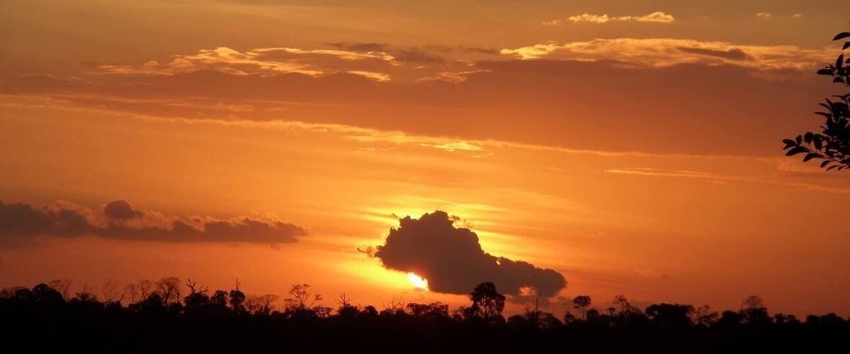 A sunset over a body of water with silhouettes of trees and a cloudy sky.
