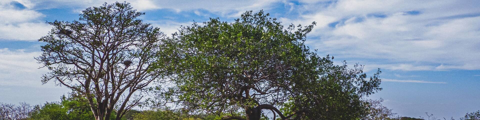 Região rural do sertão do Brasil e conta com a caatinga como bioma vegetal. Clima tropical semiárido do interior do Nordeste brasileiro.
