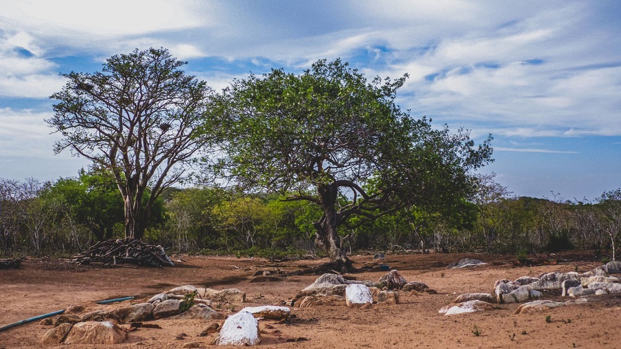 Região rural do sertão do Brasil e conta com a caatinga como bioma vegetal. Clima tropical semiárido do interior do Nordeste brasileiro.