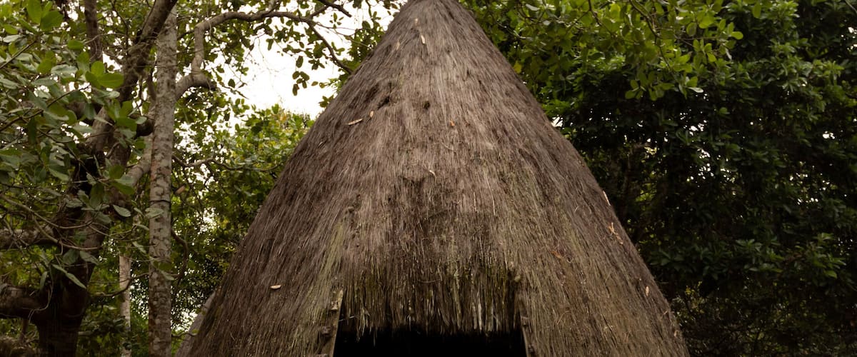 A thatched hut with a dirt path leading to it, surrounded by trees.