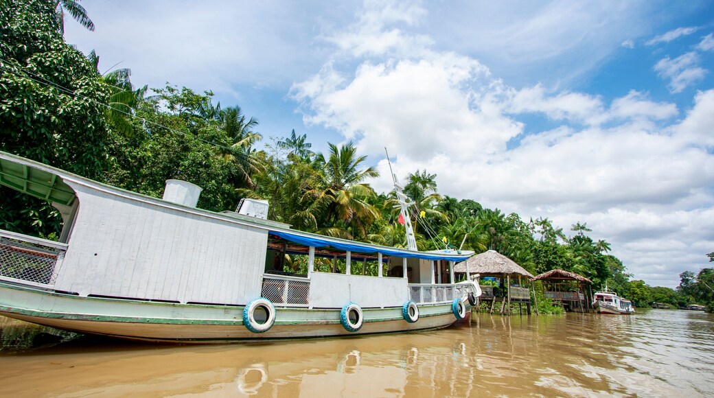 Embarcação de madeira ancorada em trapiche em um rio da floresta amazônica. Barco na margem de floresta sem pessoas