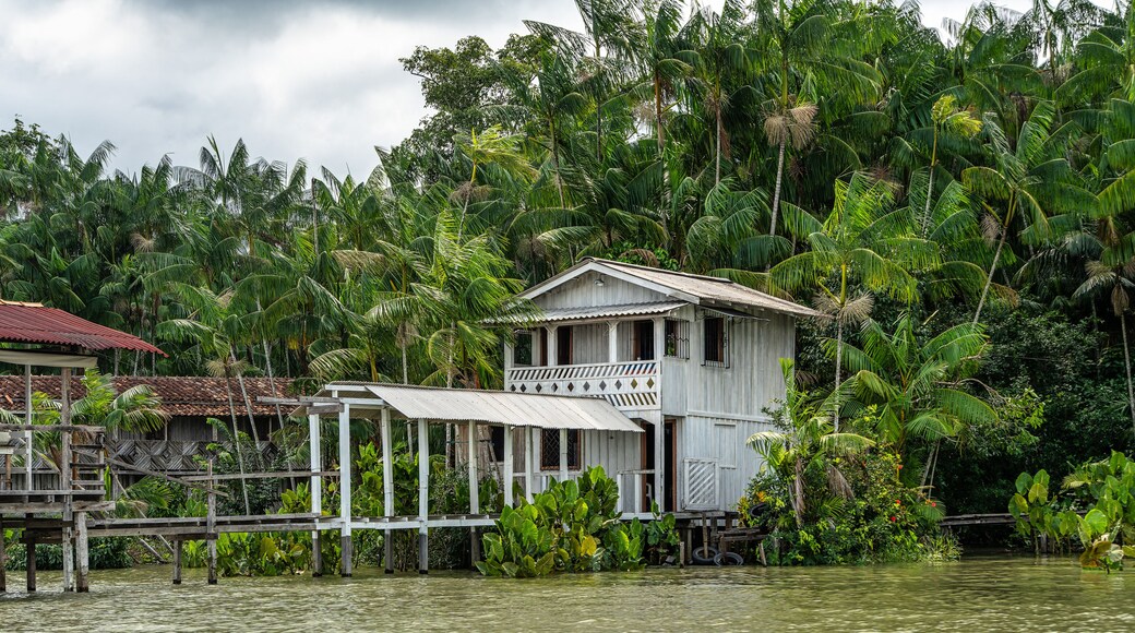 River boat tour on the Guama River at Belem do Para, a city on the north area of Brazil.