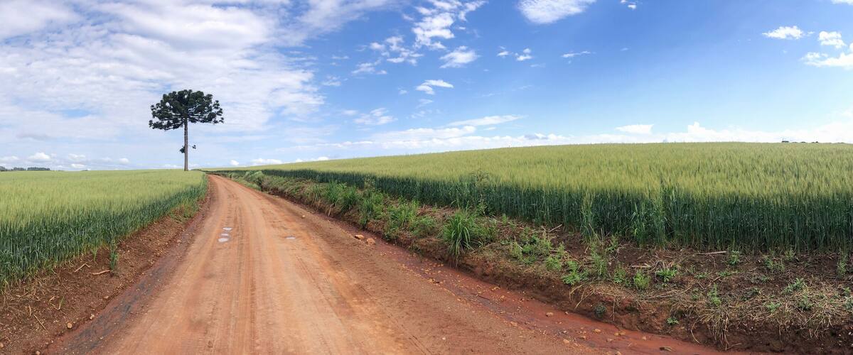 A rural dirt road flanked by green fields under a partly cloudy sky.