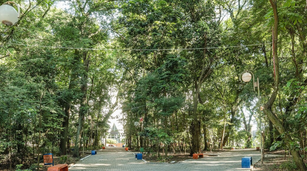 Marechal Candido Rondon