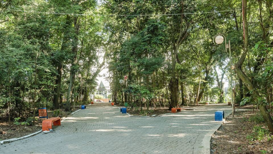 Bosque Marechal Candido Rondon - Londrina