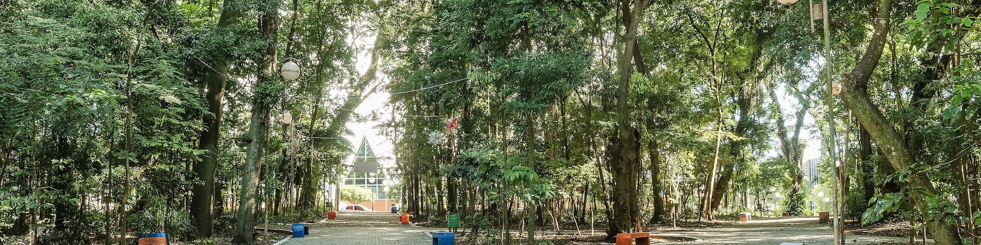 Bosque Marechal Candido Rondon - Londrina