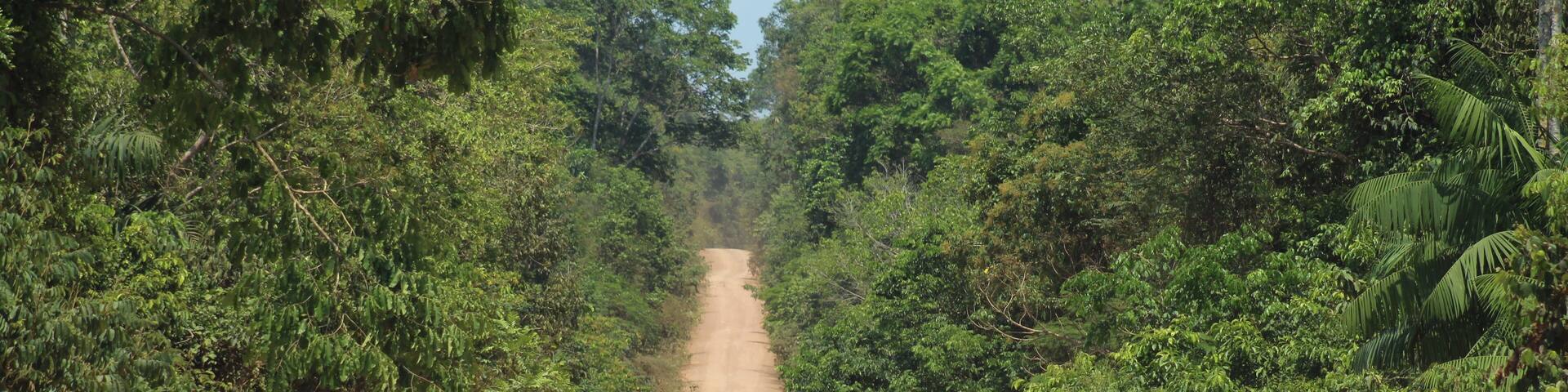 trecho sem pavimentação na rodovia transamazônica (BR-230), no Pará