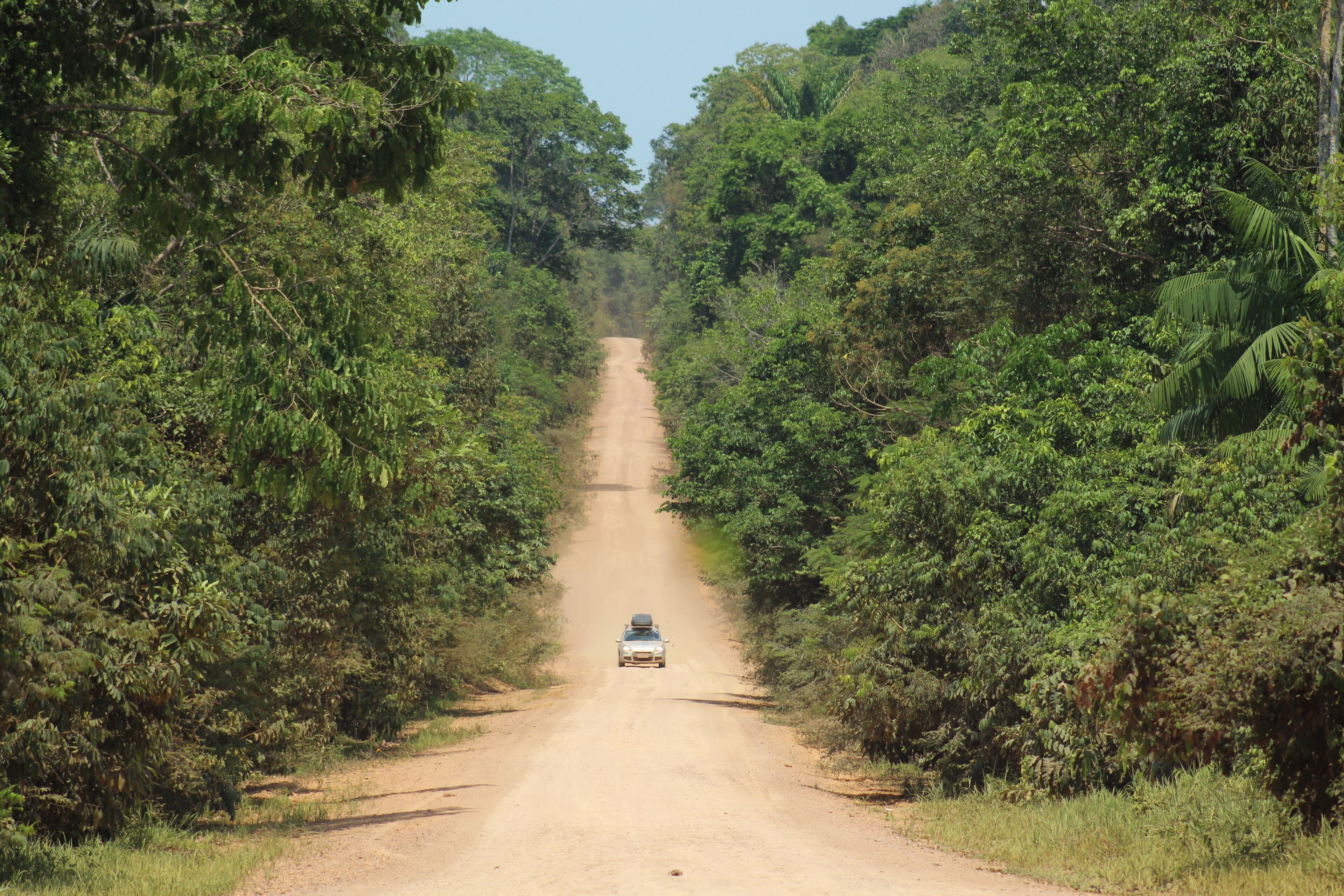 A dirt road flanked by dense green foliage, leading into a forested area.