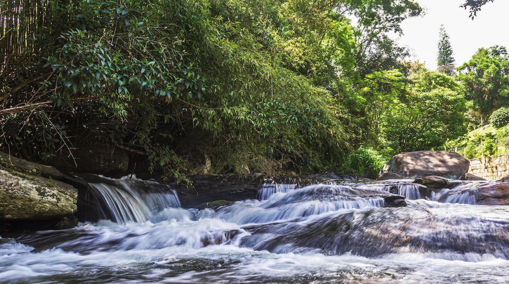 Boa Esperança (Good Hope) Creek, Itaipava, Petropolis, RJ - Brazil
