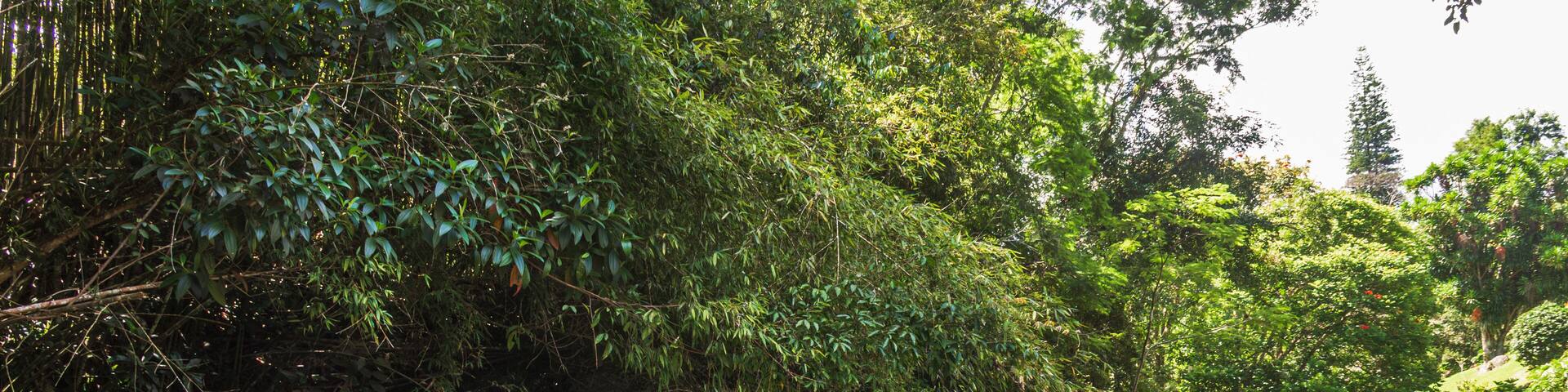 Boa Esperança (Good Hope) Creek, Itaipava, Petropolis, RJ - Brazil