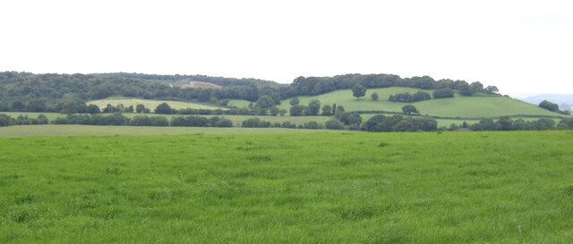 A green field with rolling hills and a forested hill in the background.