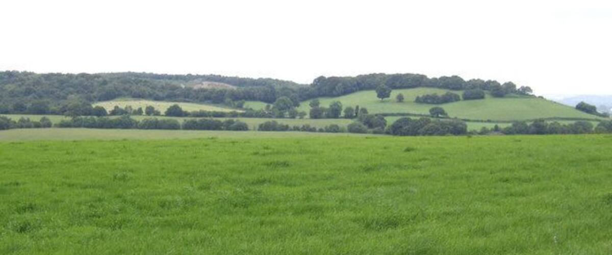 A green field with rolling hills and a forested hill in the background.