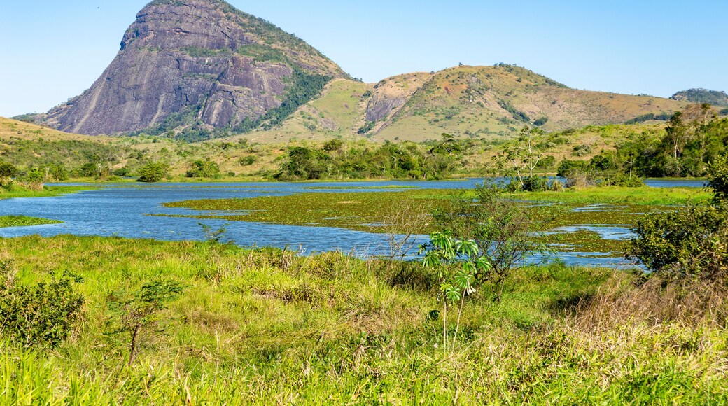 Lake in the mountains