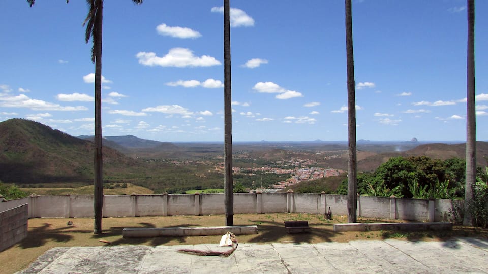 Coconut palms near abandoned basketball court in Baturite, northeast Brazil