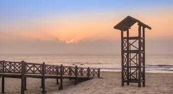 The beach of grussaĂ is in SĂŁo JoĂŁo da Barra, 4 hours from the center of Rio, a place known for its beautiful beaches and the ruins of Atafona, where we find several houses being swallowed by the sea. This pic was taken on sunrise.
#golden #beach #brazil #sunrise