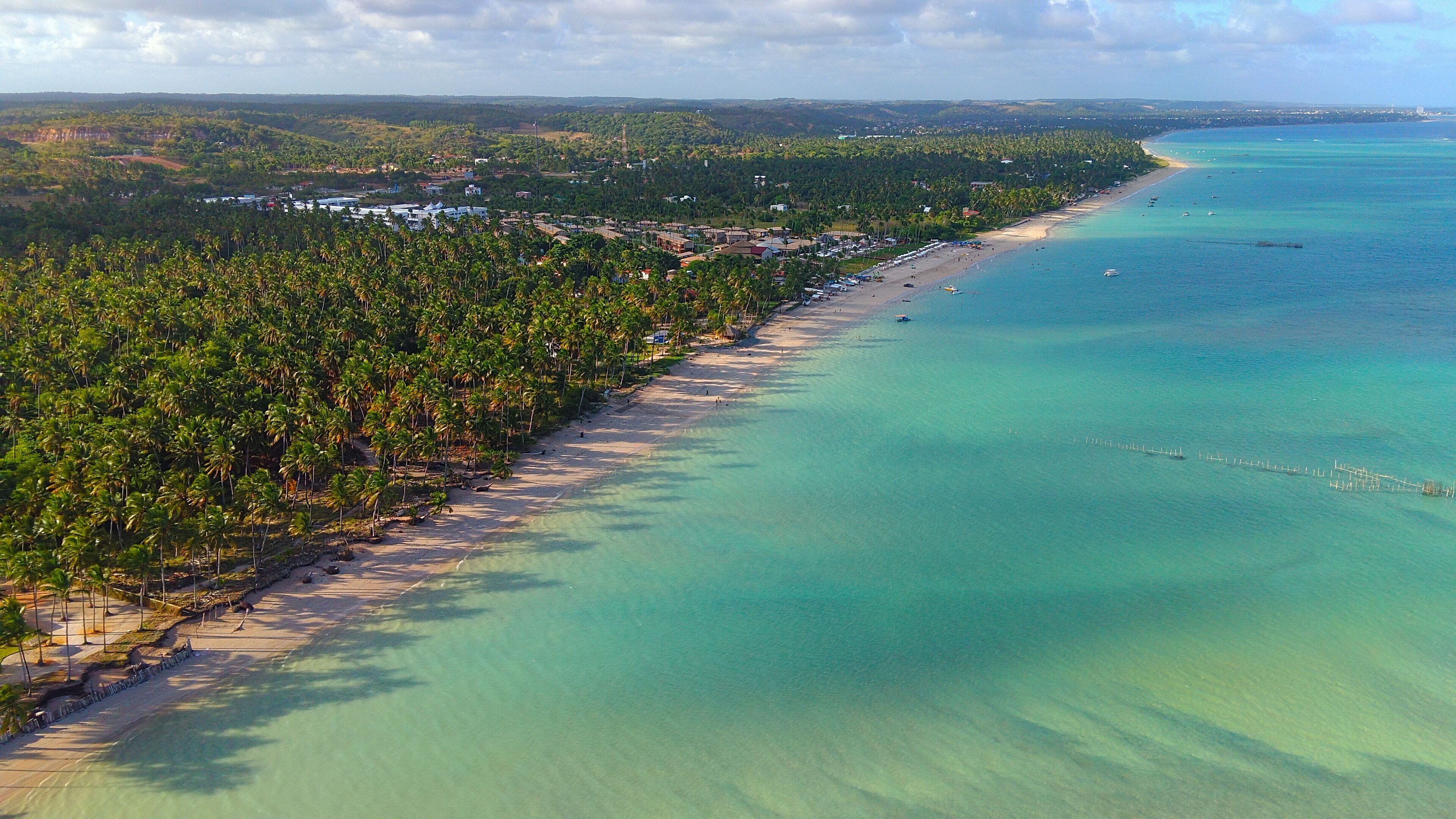  Maragogi Beach, Alagoas, with palm trees reflecting in the sea turquoise waters in Brazil.