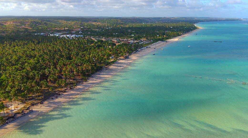 Maragogi Beach, Alagoas, with palm trees reflecting in the sea turquoise waters in Brazil.