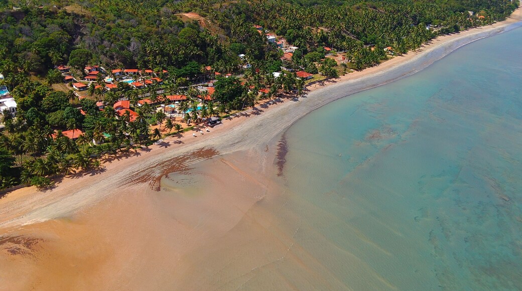 Aerial of low tide beach at Japaratinga in Alagoas, Brazil.