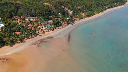 Aerial of low tide beach at Japaratinga in Alagoas, Brazil.