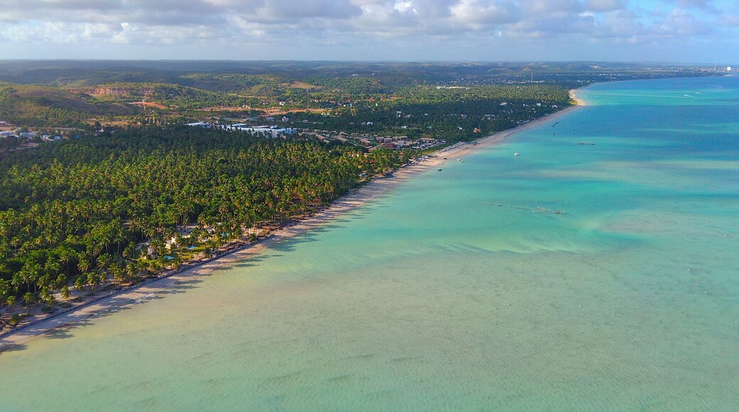 Stunning view of Maragogi Beach, Alagoas, with palm trees reflecting in the crystal-clear turquoise waters, creating a serene and enchanting tropical scene in Brazil.
