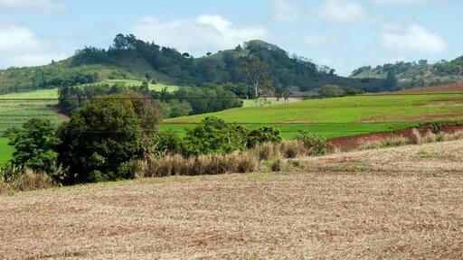 イヴァイポラン