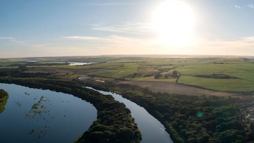 ๋ฐ๋ฆฌ๋ฆฌ