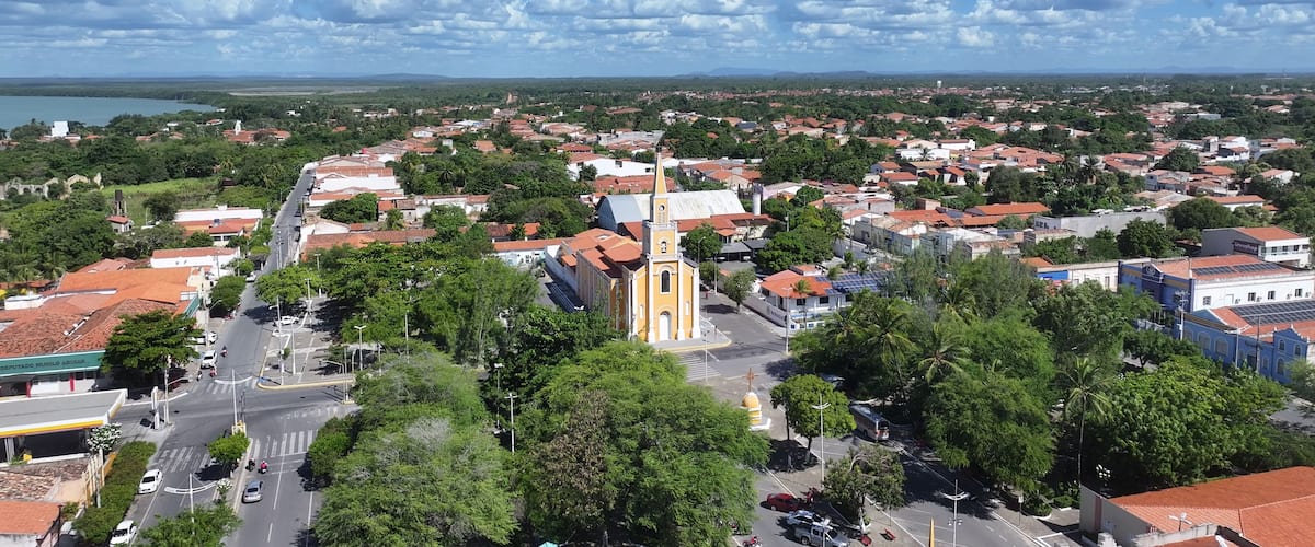 A town with a prominent church, a river, and a bridge in the background.